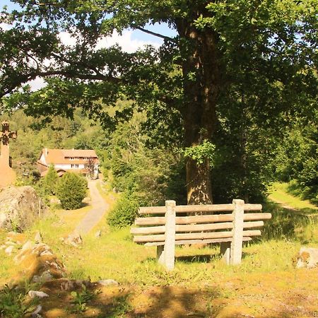 Gite Le Tyrol Ban-sur-Meurthe-Clefcy Exterior foto